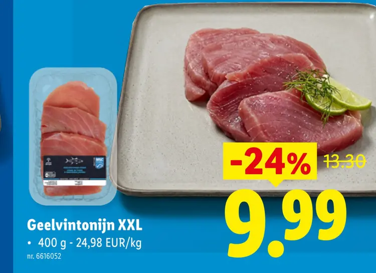 Promotie: Geelvintonijn XXL