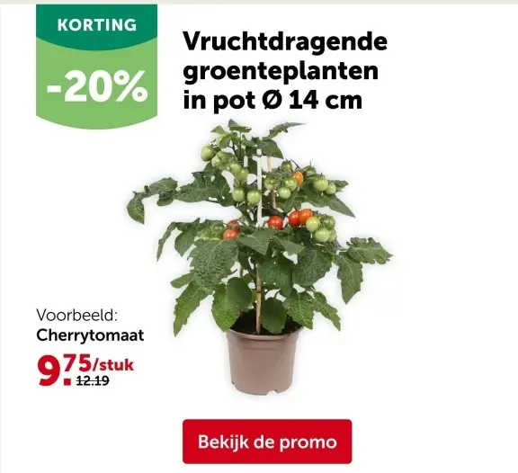 Promotie: Vruchtdragende groenteplanten in pot
