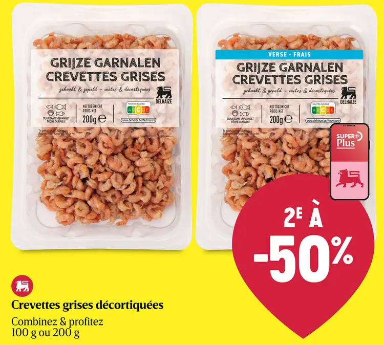 Offre: Grijze garnalen crevettes grises