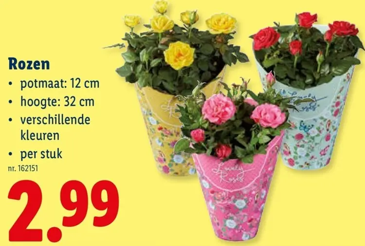 Promotie: Rozen