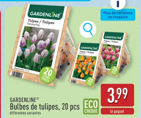 Offre: Bulbes de tulipes
