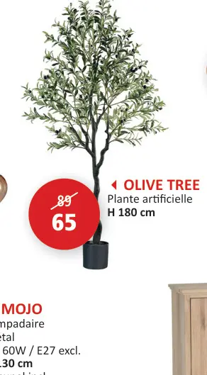 Offre: Olive tree
