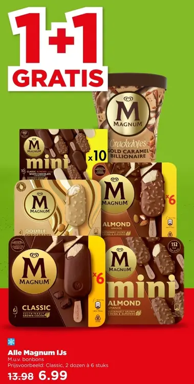 Aanbieding: Magnum Ice Cream