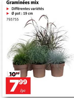 Offre: Graminées mix