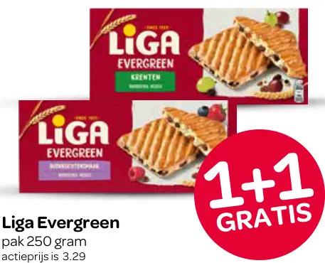 Aanbieding: Evergreen