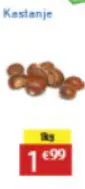 Promotie: Kastanje