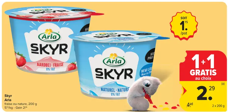 Offre: Skyr