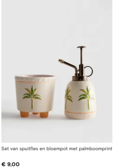 Aanbieding: Set van spuitfles en bloempot met palmboompri