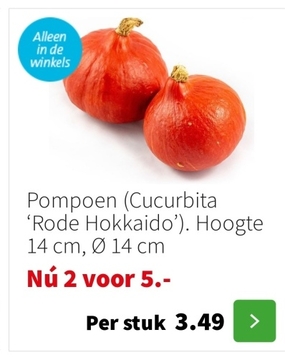 Aanbieding: Pompoen 'Rode Hokkaido'