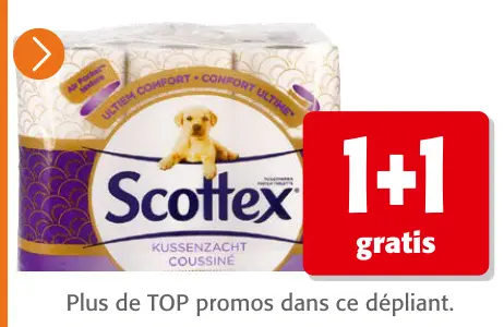 Offre: Scottex