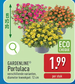 Promotie: Portulaca