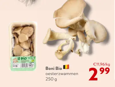 Promotie: Oesterzwammen