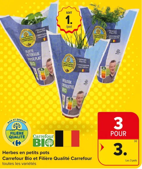 Offre: Herbes en petits pots