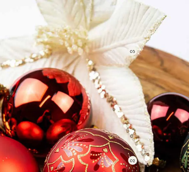 Promotie: Fluwelen poinsettia