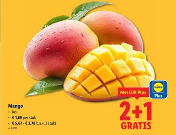 Aanbieding: Mango