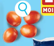 Offre: Tomates roma