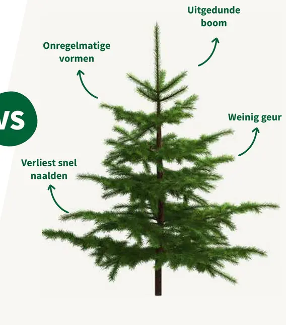 Aanbieding: Kerstboom