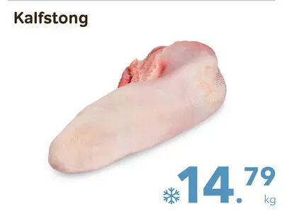 Promotie: Kalfstong