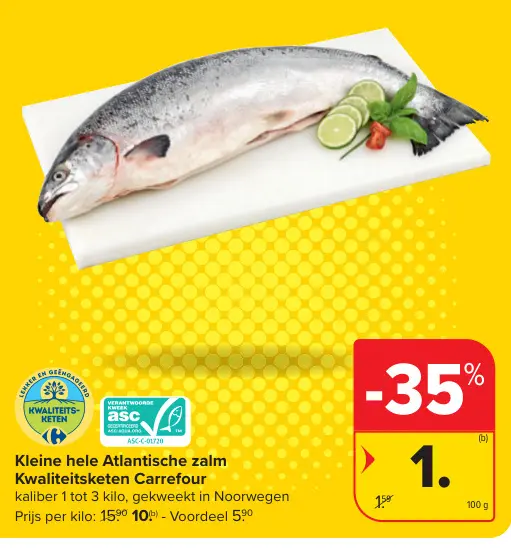 Promotie: Kleine hele Atlantische zalm