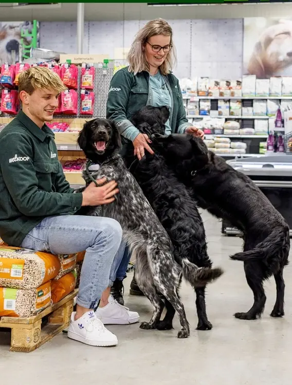 Aanbieding: Kattensnacks