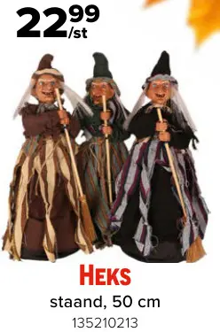 Promotie: Heks staand