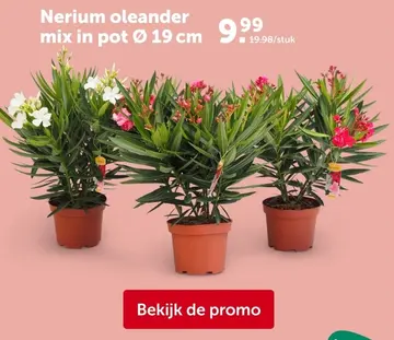 Aanbieding: mix in pot