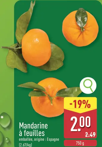 Offre: Mandarine à feuilles