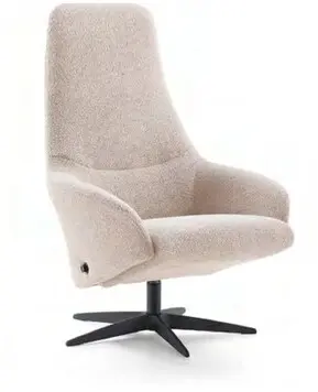 Aanbieding: Fauteuil Dutch Design