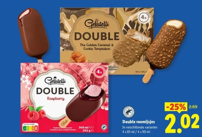 Aanbieding: DOUBLE roomijsjes