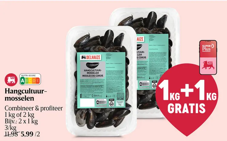 Promotie: Hangcultuurmosselen