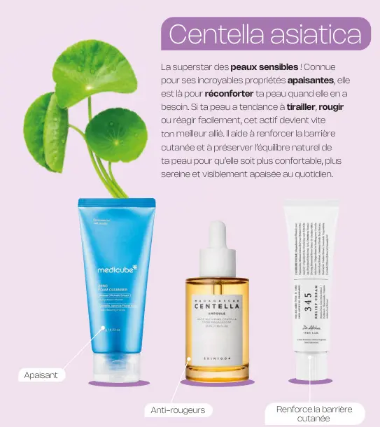 Offre: Centella asiatica Routine (Medicube Zero Foam