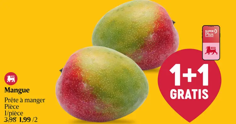 Offre: Mangue