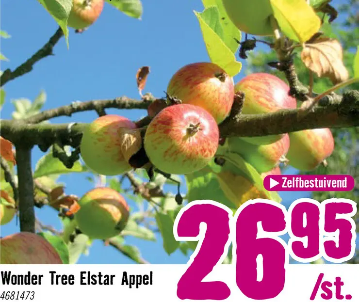 Aanbieding: Appelboom Wonder Tree 'Elstar' Ø24 cm wit