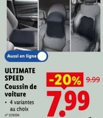 Offre: Coussin de voiture