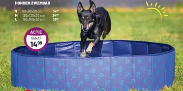 Aanbieding: HONDEN ZWEMBAD