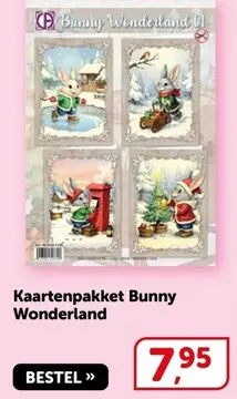 Aanbieding: Kaartenpakket Bunny Wonderland