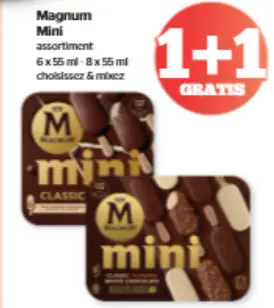 Offre: Magnum mini