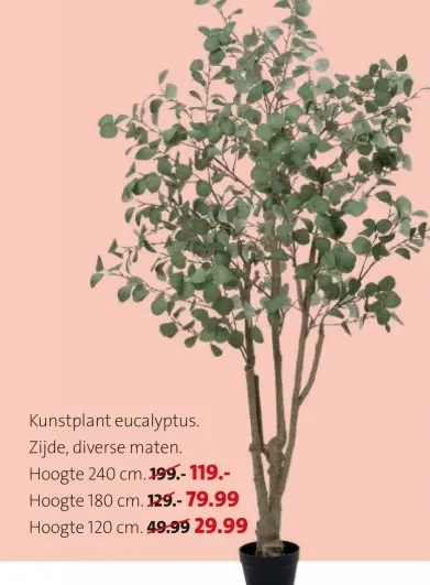 Promotie: Kunstplant eucalyptus