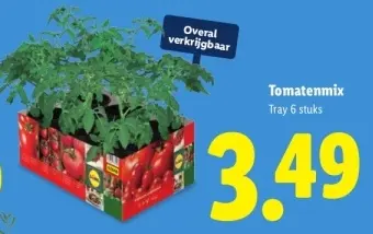 Aanbieding: Tomatenmix