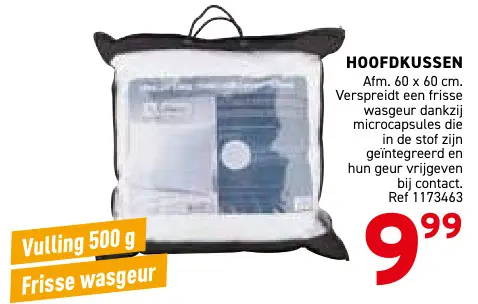 Promotie: Hoofdkussen