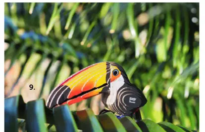 Promotie: Eugy Toucan and Lion