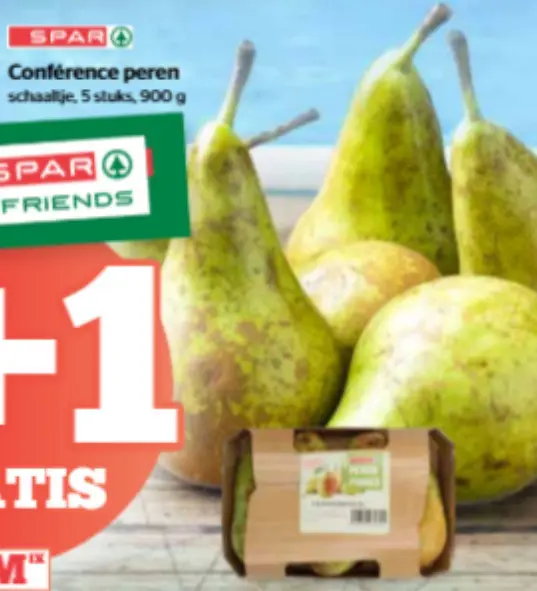 Promotie: Conference peren