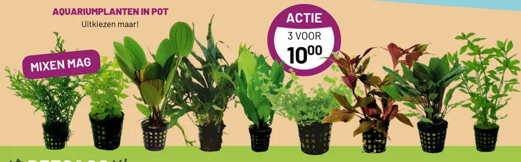Aanbieding: Aquariumplanten in pot