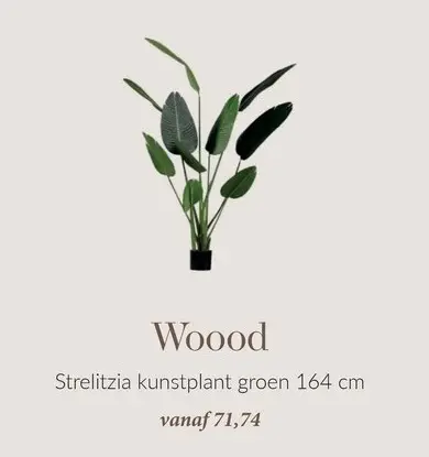 Aanbieding: Strelitzia kunstplant groen 164 cm
