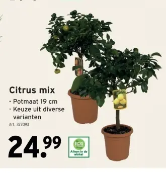 Promotie: Citrus mix