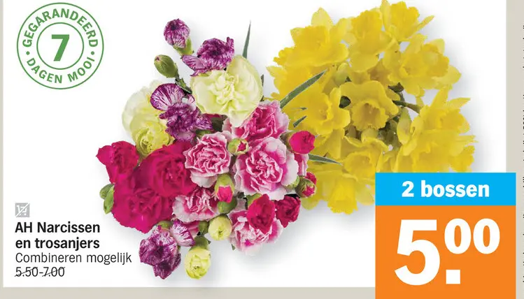 Promotie: Narcissen en trosanjers