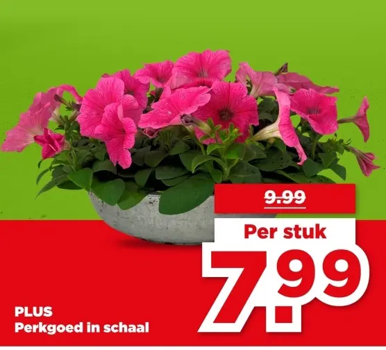 Perkgoed in schaal
