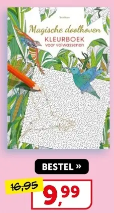 Aanbieding: Magische doolhoven Kleurboek