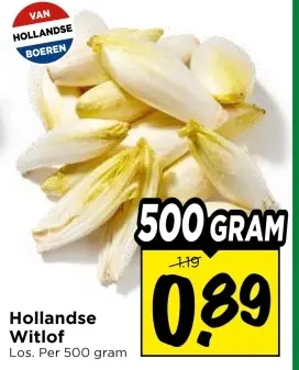 Aanbieding: Hollandse Witlof
