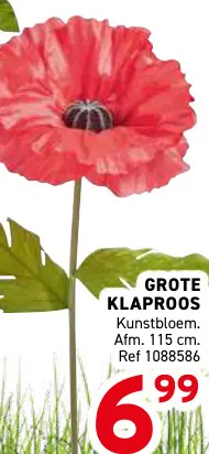 Promotie: Grote klaproos